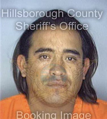Abrego Gabriel - Hillsborough County, FL 