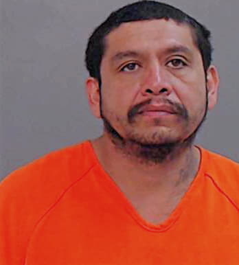 Gaona Julio - Hidalgo County, TX 