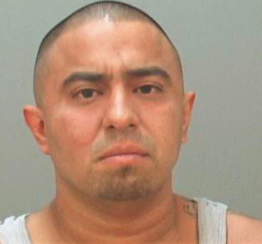Sotelo Raymond - Hays County, TX 
