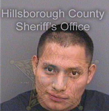 Jimenezjimenez Andres - Hillsborough County, FL 