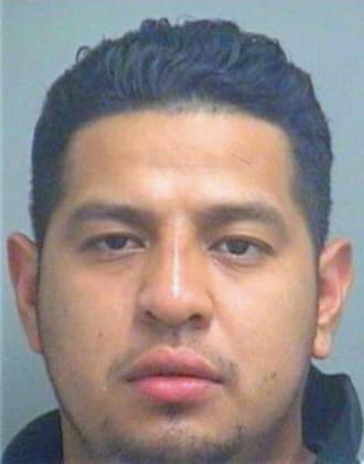 Hernandez Carlos - PalmBeach County, FL 