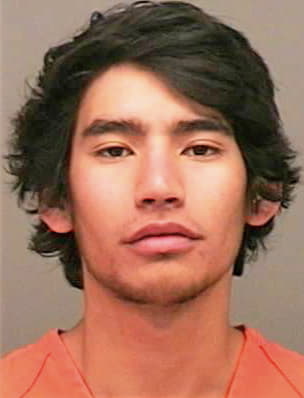 Giron Erik - Montgomery County, TN 