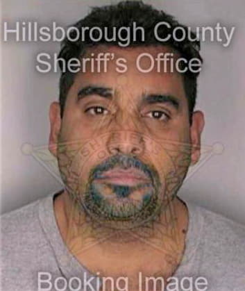 Roman Epifanio - Hillsborough County, FL 
