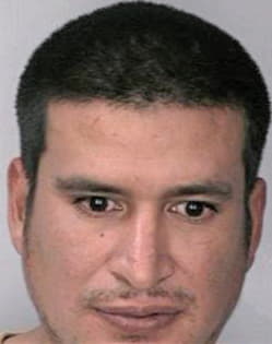 Reyesromero Henry - Hillsborough County, FL 