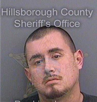 Bustos Jonny - Hillsborough County, FL 