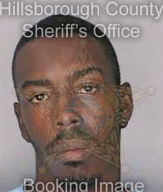 Wiley Michael - Hillsborough County, FL