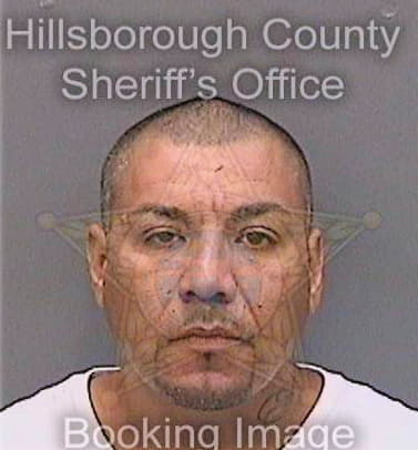 Alvarez Christopher - Hillsborough County, FL 