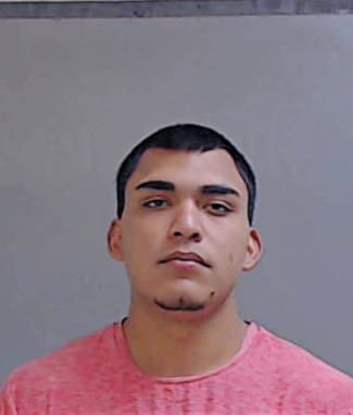 Perez David - Hidalgo County, TX 