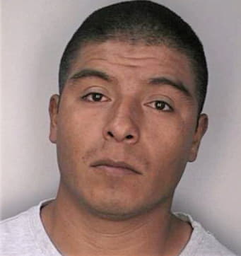 Conterez Jose - Hillsborough County, FL 
