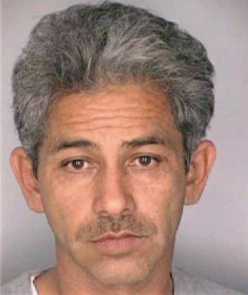 Sanchez Juan - Hillsborough County, FL 