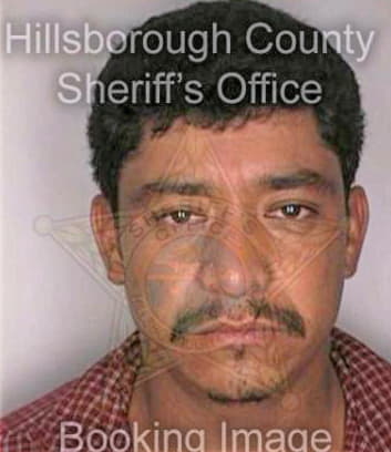 Mendoza Leopold - Hillsborough County, FL 