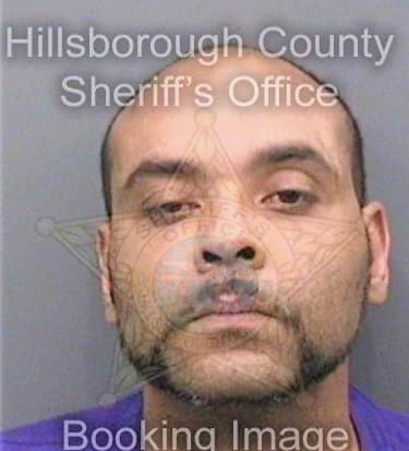 Hamilton Nathan - Hillsborough County, FL 