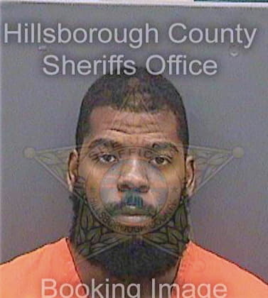 Guillaume Sebastien - Hillsborough County, FL 