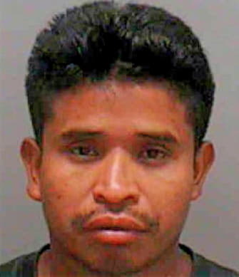 Perez Baltazar - Lee County, FL 