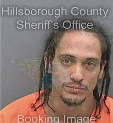 Paulino Lorenzo - Hillsborough County, FL 
