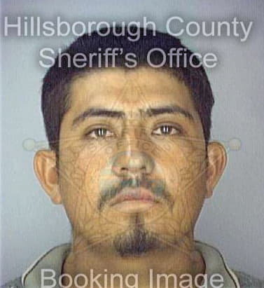 Cove Luis - Hillsborough County, FL 