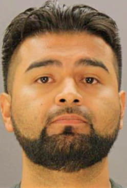 Mata Luis - Dallas County, TX 
