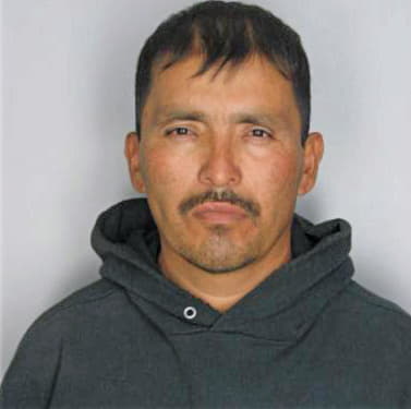 Corona Margarito - Hillsborough County, FL 
