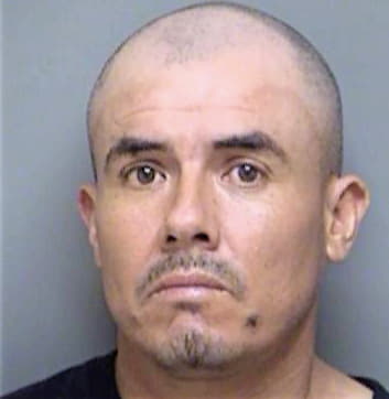 Tovar Mario - Denton County, TX 
