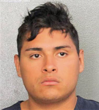 Alvarez Carlos - Broward County, FL 
