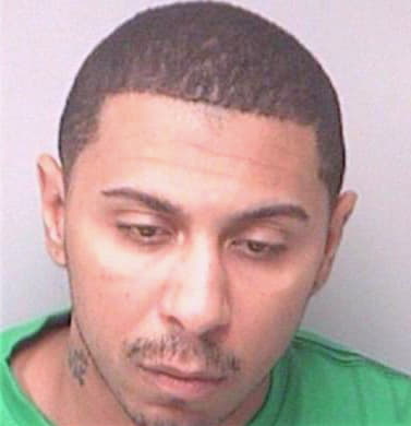 Johnson Carlos - Pinellas County, FL 