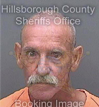 Bland Dennis - Hillsborough County, FL 