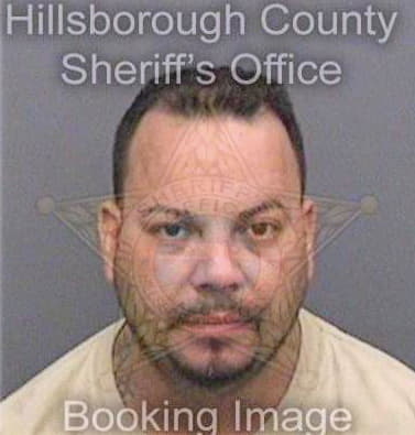 Carrillo Javier - Hillsborough County, FL 