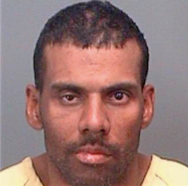 Bradshaw Michael - Pinellas County, FL 