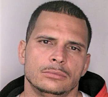 Morales Ramon - Hillsborough County, FL 