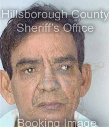 Irizarry Angel - Hillsborough County, FL 