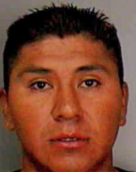 Mendoza Carlos - Polk County, FL 