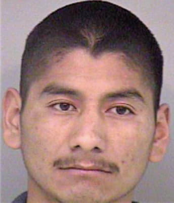 Chavez Celso - Madera County, CA 