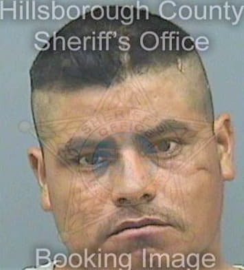 Hernandez Fermin - Hillsborough County, FL 