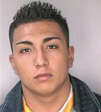 Villavicencio Francisco - Hillsborough County, FL 
