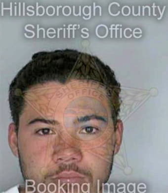 Quinones Gustavo - Hillsborough County, FL 