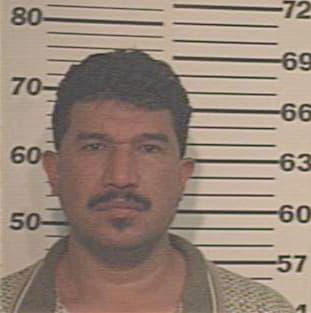 Salinas Jesus - Hidalgo County, TX 