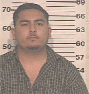 Gonzalez Juan - Hidalgo County, TX 
