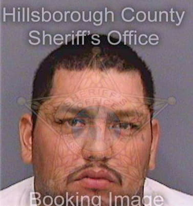 Hernandez Julian - Hillsborough County, FL 