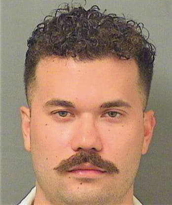 Henney Daniel - PalmBeach County, FL 
