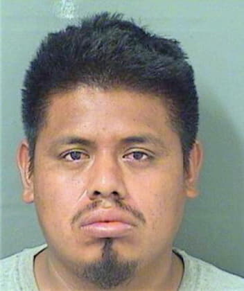 Ramirezvasquez Emerson - PalmBeach County, FL 