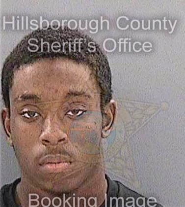 Strong Johnell - Hillsborough County, FL 