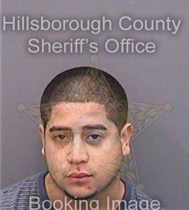 Zelaya Luis - Hillsborough County, FL 