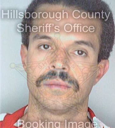 Estevez Ramon - Hillsborough County, FL 
