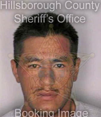 Gonzalez Celerino - Hillsborough County, FL 