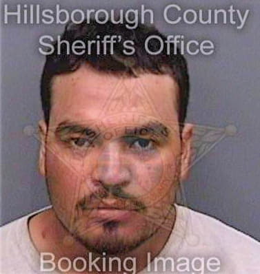 Hidalgomaldonado Gerardo - Hillsborough County, FL 