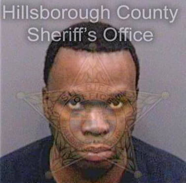 Gray Jamar - Hillsborough County, FL 