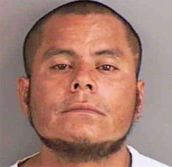 Sauceda Jose - Collier County, FL 