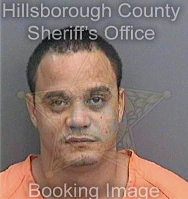 Rolon Luis - Hillsborough County, FL 