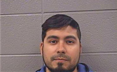 Herrera Martin - Cook County, IL 