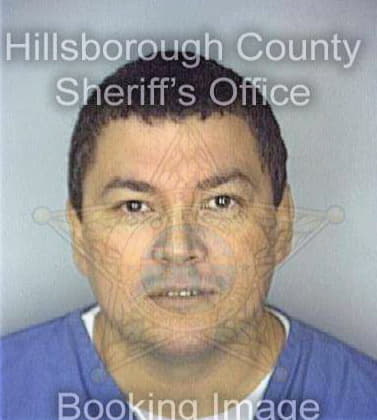 Perez Nelson - Hillsborough County, FL 